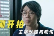 娱乐吃瓜y君,揭秘娱乐圈幕后故事